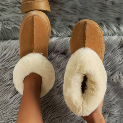 The Cozy Toes